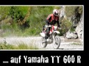 002-Lutz Yamaha