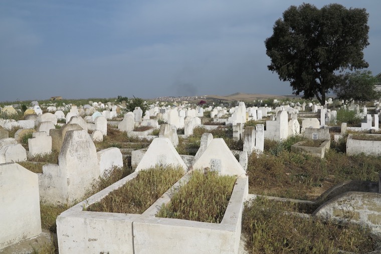 020-07052014 Fes Friedhof