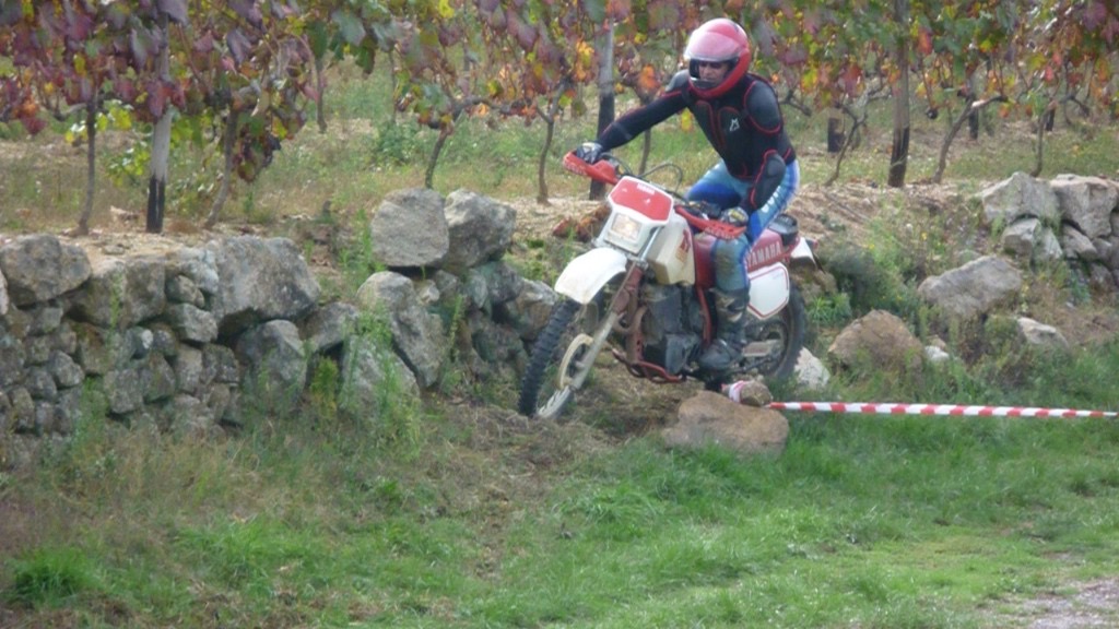 069-06102012 Wiebke